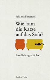 Wie kam die Katze auf das Sofa