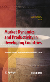 Market Dynamics and Productivity in Developing Countries