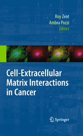 Cell-Extracellular Matrix Interactions in Cancer