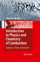 Introduction to Physics and Chemistry of Combustion