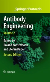 Antibody Engineering Volume 2