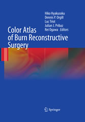 Color Atlas of Burn Reconstructive Surgery