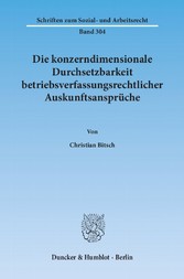 Die konzerndimensionale Durchsetzbarkeit betriebsverfassungsrechtlicher Auskunftsansprüche.