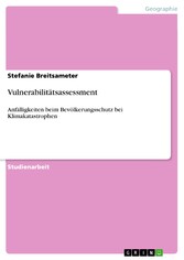 Vulnerabilitätsassessment