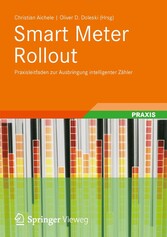 Smart Meter Rollout