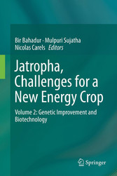 Jatropha, Challenges for a New Energy Crop