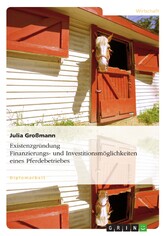 Existenzgründung. Finanzierungs- und Investitionsmöglichkeiten eines Pferdebetriebes