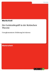 Der Leidensbegriff in der Kritischen Theorie