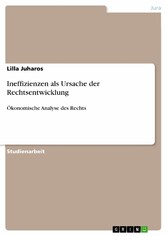 Ineffizienzen als Ursache der Rechtsentwicklung