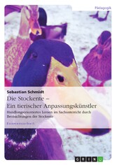 Die Stockente - ein tierischer Anpassungskünstler