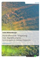 Hydrothermale Vergasung von Algenbiomasse