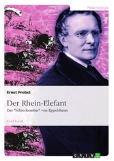 Der Rhein-Elefant