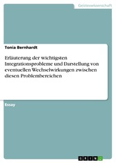 Erläuterung der wichtigsten Integrationsprobleme und Darstellung von eventuellen Wechselwirkungen zwischen diesen Problembereichen