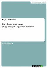 Die Kleingruppe unter gruppenpsychologischen Aspekten