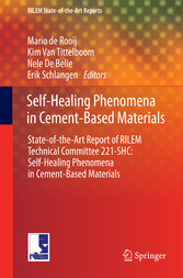 Self-Healing Phenomena in Cement-Based Materials