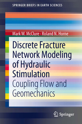 Discrete Fracture Network Modeling of Hydraulic Stimulation