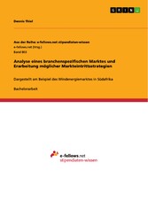 Analyse eines branchenspezifischen Marktes und Erarbeitung möglicher Markteintrittsstrategien